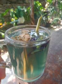 Wedang Resan